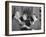 President Eisenhower with Helen Keller and Her Aide Polly Thompson-null-Framed Photo