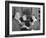 President Eisenhower with Helen Keller and Her Aide Polly Thompson-null-Framed Photo