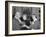 President Eisenhower with Helen Keller and Her Aide Polly Thompson-null-Framed Photo