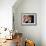 President-Elect Barack Obama Smiles During Acceptance Speech, Nov 4, 2008-null-Framed Photographic Print displayed on a wall