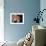 President-Elect Barack Obama Smiles During Acceptance Speech, Nov 4, 2008-null-Framed Photographic Print displayed on a wall