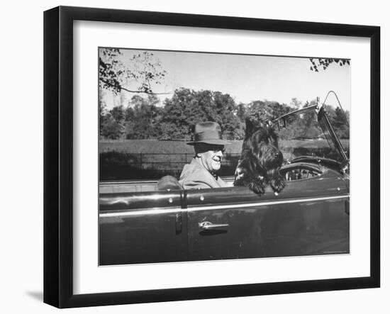 President Franklin D. Roosevelt Driving in His Convertible with His Dog Fala Through Hyde Park-George Skadding-Framed Photographic Print