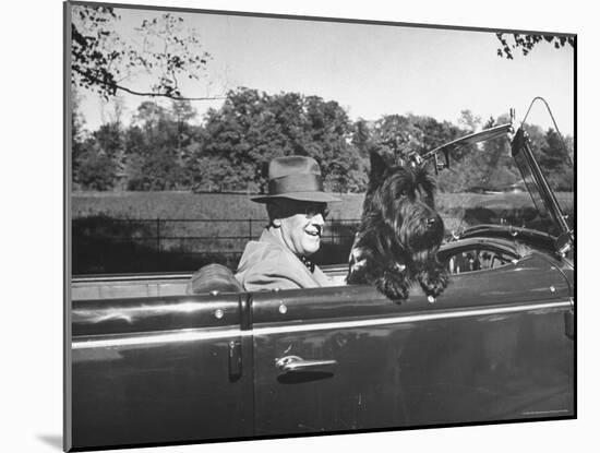 President Franklin D. Roosevelt Driving in His Convertible with His Dog Fala Through Hyde Park-George Skadding-Mounted Photographic Print