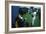 President George W. Bush Derek Jeter before the First Pitch in Game 3 of the World Series-null-Framed Premium Photographic Print