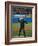 President George W. Bush Throws the Ceremonial First Pitch at Yankee Stadium-null-Framed Premium Photographic Print