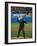 President George W. Bush Throws the Ceremonial First Pitch at Yankee Stadium-null-Framed Photo