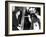 President John Kennedy and Pope Paul VI in Conversation-null-Framed Photo