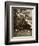 President Lincoln at Sharpsburg, October 1862-Mathew Brady-Framed Giclee Print