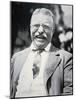 President Theodore Roosevelt, c.1917-null-Mounted Photographic Print