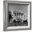 President Truman's Dog, "Feller" on White House Lawn-null-Framed Photographic Print