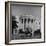 President Truman's Dog, "Feller" on White House Lawn-null-Framed Photographic Print