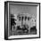 President Truman's Dog, "Feller" on White House Lawn-null-Framed Photographic Print