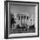 President Truman's Dog, "Feller" on White House Lawn-null-Framed Photographic Print