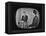 Presidential Candidate Richard M. Nixon Speaking During a Televised Debate-Paul Schutzer-Framed Premier Image Canvas