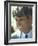 Presidential Contender Bobby Kennedy During Campaign-Bill Eppridge-Framed Photographic Print