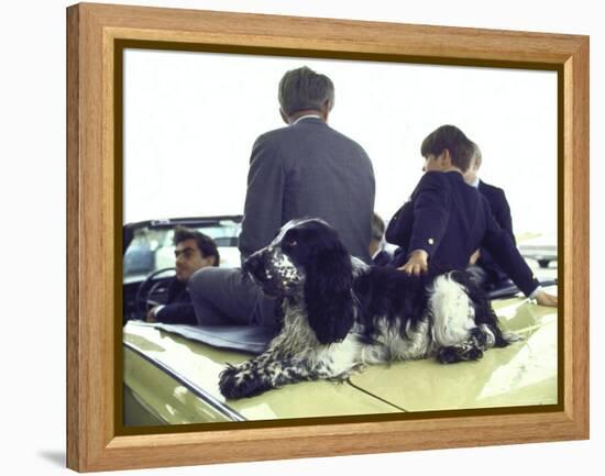 Presidential Contender Bobby Kennedy with Sons and Pet Dog Freckles in Convertible During Campaign-Bill Eppridge-Framed Premier Image Canvas