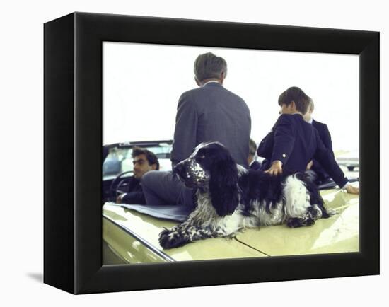 Presidential Contender Bobby Kennedy with Sons and Pet Dog Freckles in Convertible During Campaign-Bill Eppridge-Framed Premier Image Canvas