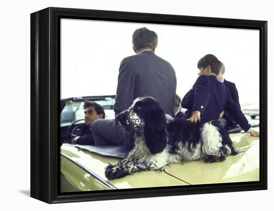 Presidential Contender Bobby Kennedy with Sons and Pet Dog Freckles in Convertible During Campaign-Bill Eppridge-Framed Premier Image Canvas