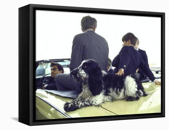 Presidential Contender Bobby Kennedy with Sons and Pet Dog Freckles in Convertible During Campaign-Bill Eppridge-Framed Premier Image Canvas