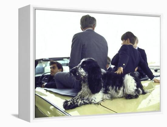Presidential Contender Bobby Kennedy with Sons and Pet Dog Freckles in Convertible During Campaign-Bill Eppridge-Framed Premier Image Canvas