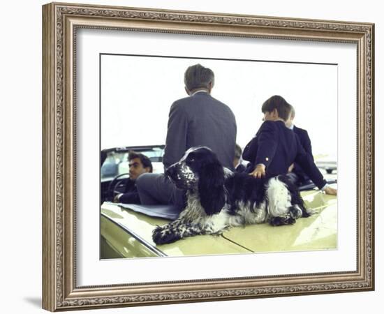 Presidential Contender Bobby Kennedy with Sons and Pet Dog Freckles in Convertible During Campaign-Bill Eppridge-Framed Photographic Print