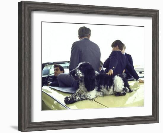 Presidential Contender Bobby Kennedy with Sons and Pet Dog Freckles in Convertible During Campaign-Bill Eppridge-Framed Photographic Print