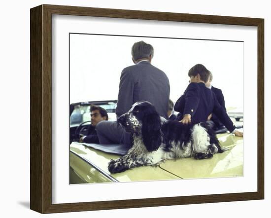 Presidential Contender Bobby Kennedy with Sons and Pet Dog Freckles in Convertible During Campaign-Bill Eppridge-Framed Photographic Print