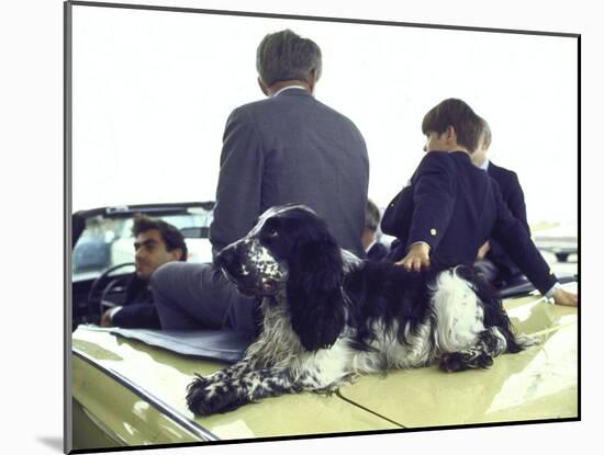 Presidential Contender Bobby Kennedy with Sons and Pet Dog Freckles in Convertible During Campaign-Bill Eppridge-Mounted Photographic Print