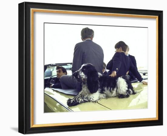 Presidential Contender Bobby Kennedy with Sons and Pet Dog Freckles in Convertible During Campaign-Bill Eppridge-Framed Photographic Print