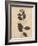 Pressed Botanical I-Kimberly Poloson-Framed Art Print