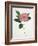 Pressed Camellia I-Annie Warren-Framed Art Print