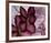Pressed Flowers II-Patricia Pinto-Framed Art Print