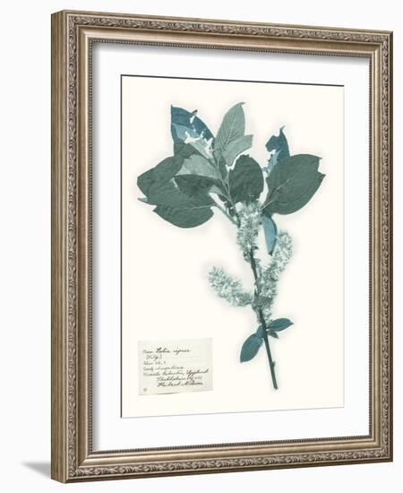 Pressed Flowers in Spa I-Vision Studio-Framed Art Print