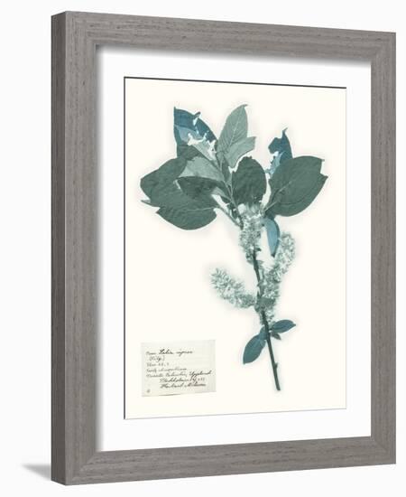 Pressed Flowers in Spa I-Vision Studio-Framed Art Print
