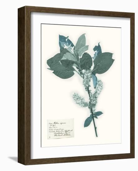 Pressed Flowers in Spa I-Vision Studio-Framed Art Print