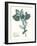 Pressed Flowers in Spa I-Vision Studio-Framed Art Print