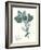 Pressed Flowers in Spa I-Vision Studio-Framed Art Print