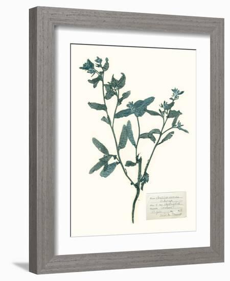 Pressed Flowers in Spa III-Vision Studio-Framed Art Print