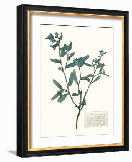 Pressed Flowers in Spa III-Vision Studio-Framed Art Print
