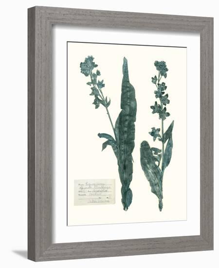 Pressed Flowers in Spa IV-Vision Studio-Framed Art Print