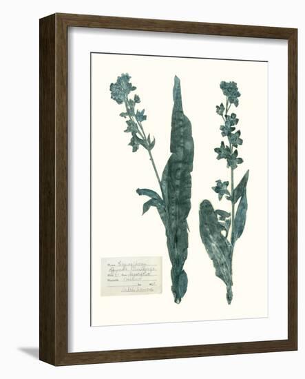 Pressed Flowers in Spa IV-Vision Studio-Framed Art Print