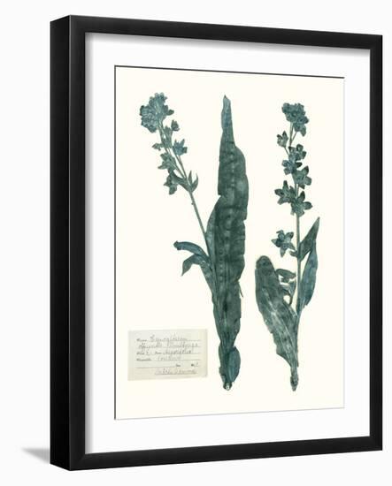 Pressed Flowers in Spa IV-Vision Studio-Framed Art Print