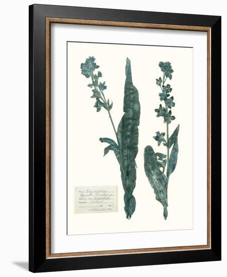 Pressed Flowers in Spa IV-Vision Studio-Framed Art Print