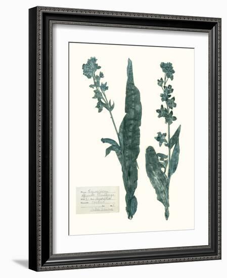 Pressed Flowers in Spa IV-Vision Studio-Framed Art Print