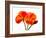 Pressed Flowers-panmaule-Framed Photographic Print