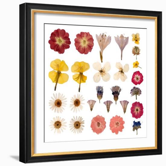 Pressed Flowers-Iwona Grodzka-Framed Art Print