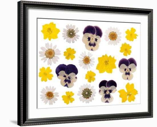 Pressed Flowers-Iwona Grodzka-Framed Art Print