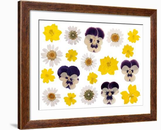 Pressed Flowers-Iwona Grodzka-Framed Art Print