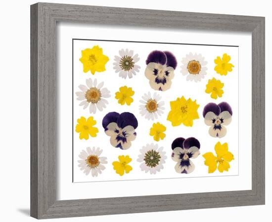 Pressed Flowers-Iwona Grodzka-Framed Art Print