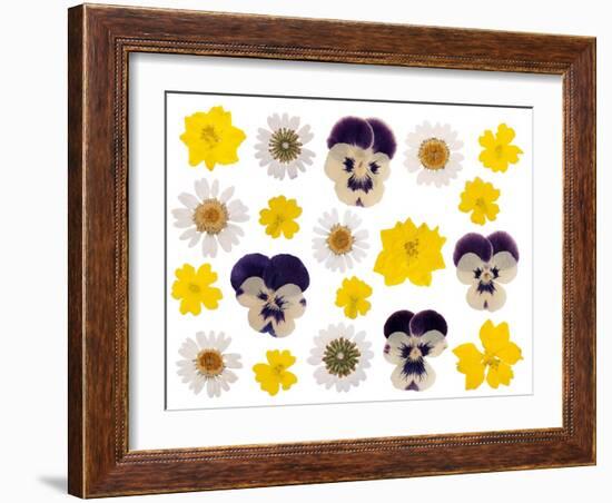 Pressed Flowers-Iwona Grodzka-Framed Art Print